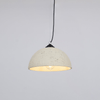 Avi Dome Pendant Light