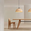 Avi Dome Pendant Light